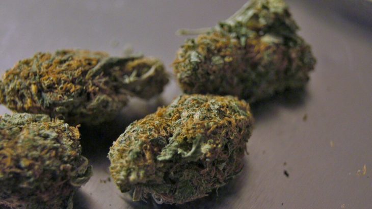 Marijuana Legale cbd